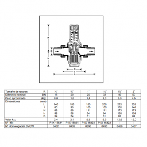 Válvula reductora de presión cuerpo laton y filtro D06F
