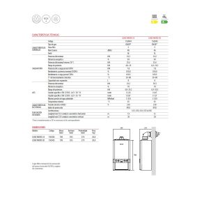 Caldera mixta instantánea Logic Micro Nat ( incluye plantilla y kit de humos )